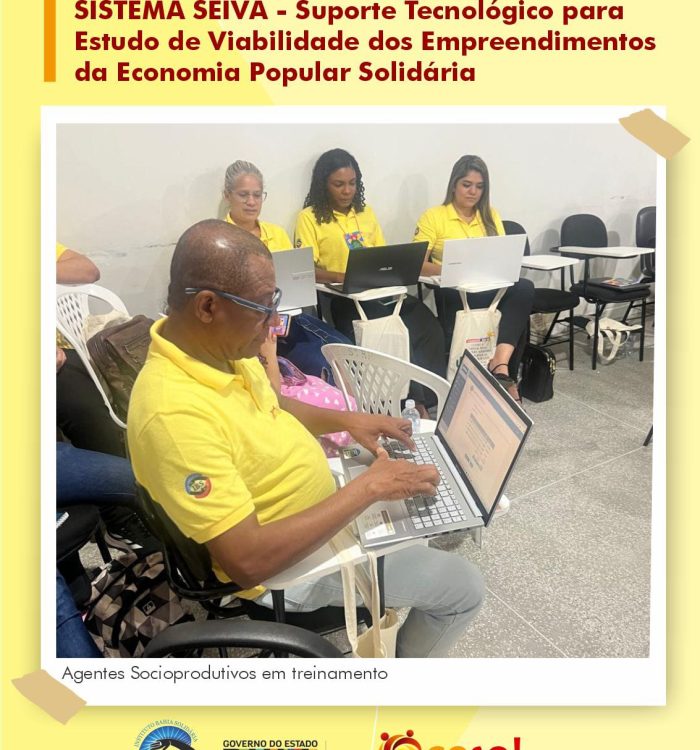 CESOL Velho Chico participa de capacitação sobre o Sistema SEIVA